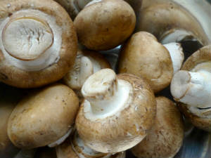 champignon
